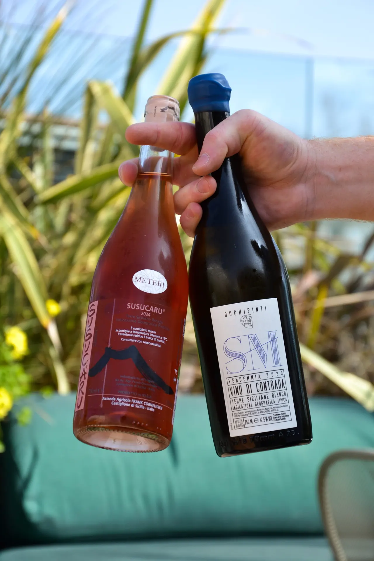 Il Circolino — due bottiglie di vino naturale