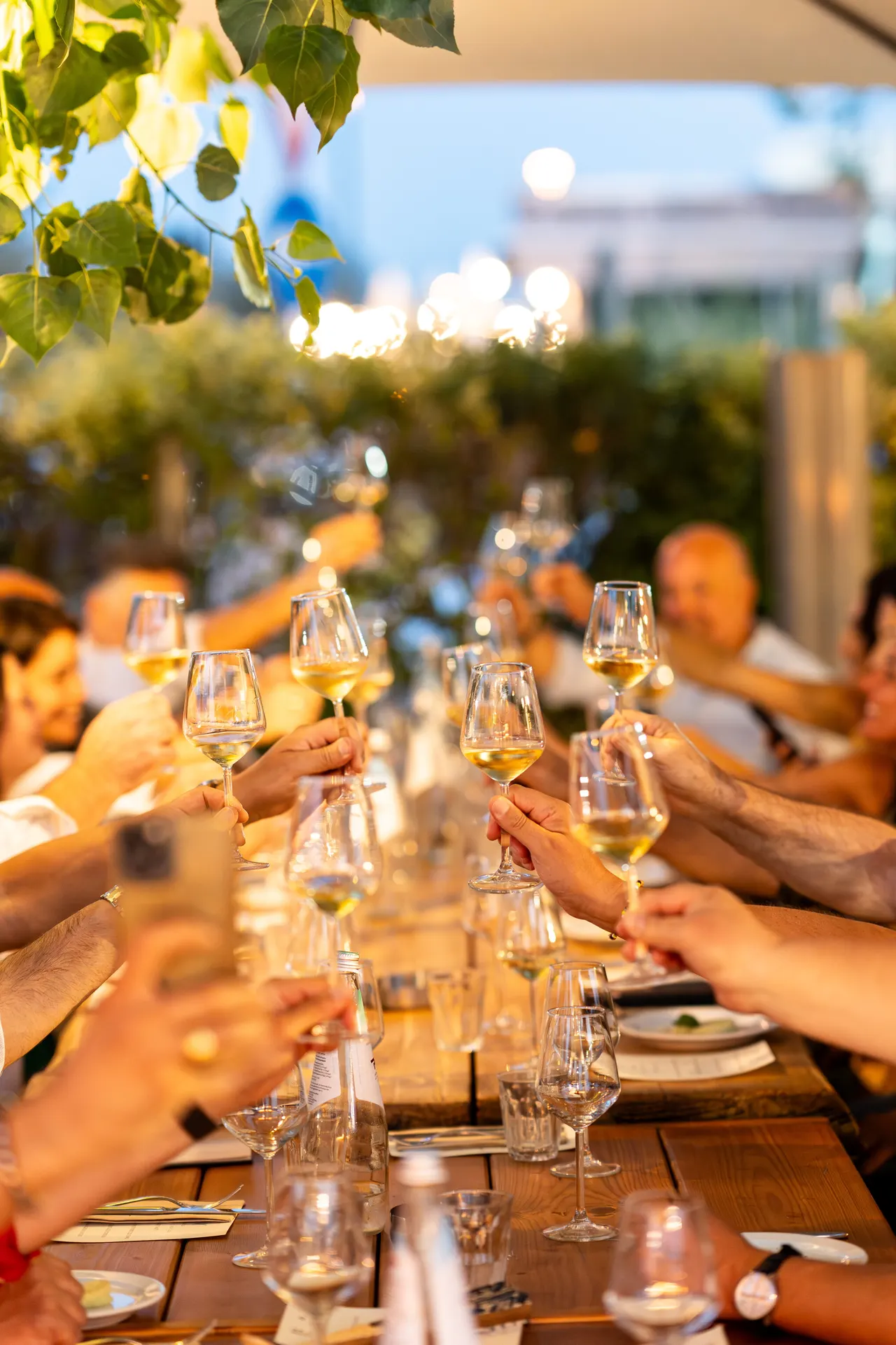 Il Circolino — brindisi con calici di vino bianco al tramonto